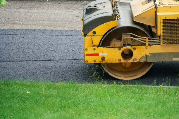 Best Local Driveway Pavers  in Pilot Point, TX